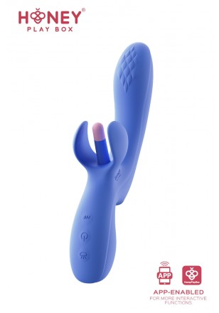 Honey Play Box Fortexa Bleu